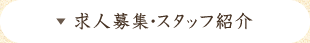 求人情報・スタッフ紹介