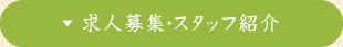 求人情報・スタッフ紹介